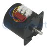 High Torque AC 220V 28W Permanent Magnet Synchronous Motor