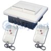 2 Gang Wall Light Lamp Wireless Remote Control Switch with Two Remotes